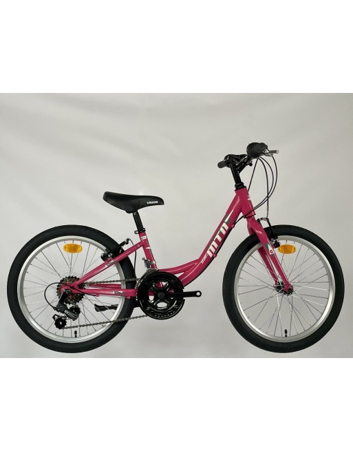 TransMontana MTB 20" leány 12 seb. acél pink/fehér (11")
