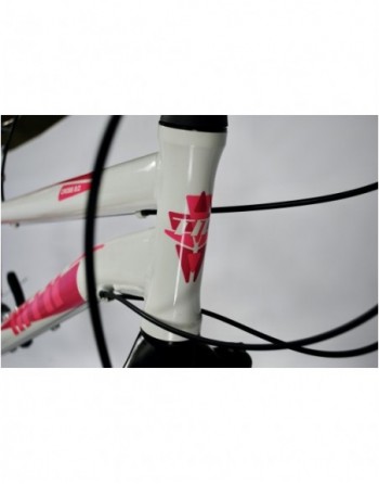 TransMontana Cross Trekking 2.0 NŐI Alu 21seb fehér/pink